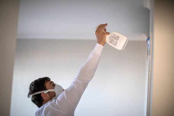 Best Kitchen Mold Remediation in Advae, NC
