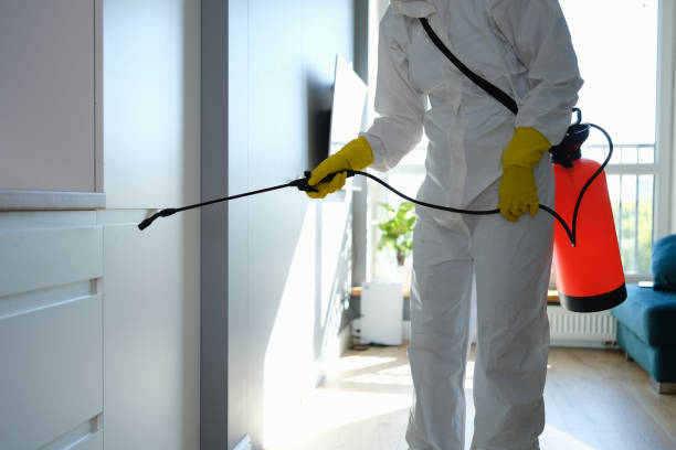 Best Health and Safety Mold Remediation in Advae, NC